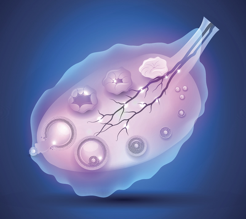 抚州三代试管婴儿比较好的私立医院排名(10家)成功率都高